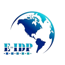 International Driving Permit